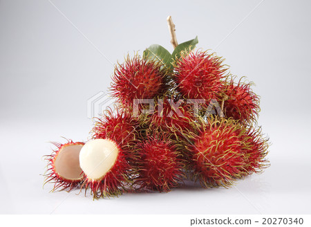 rambutan rambutan 20270340