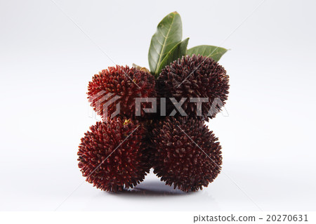 Pulasan or kapulasan fruit Pulasan or kapulasan fruit 20270631