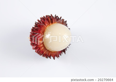 Pulasan or kapulasan fruit Pulasan or kapulasan fruit 20270664