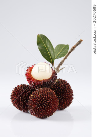 Pulasan or kapulasan fruit Pulasan or kapulasan fruit 20270699