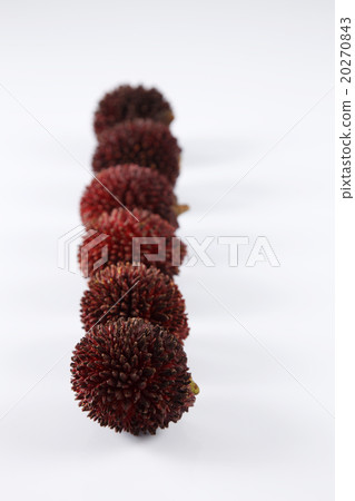 Pulasan or kapulasan fruit Pulasan or kapulasan fruit 20270843