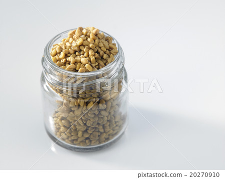 fenugreek 20270910