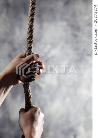 20272274