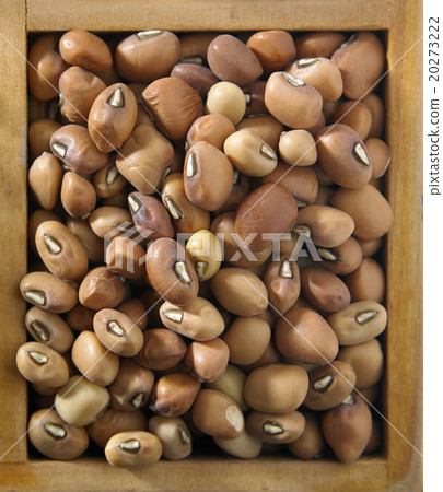 brown beans 20273222