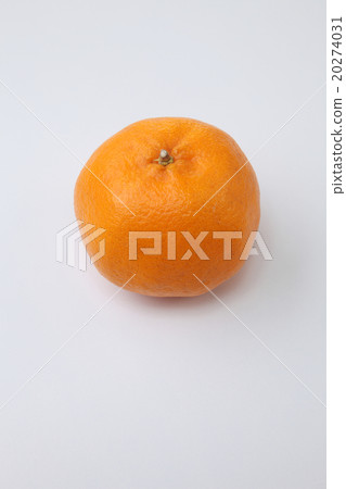 mandarin orange mandarin orange 20274031