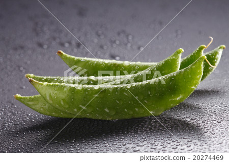 peas peas 20274469
