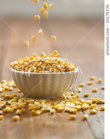 maize maize 20276336
