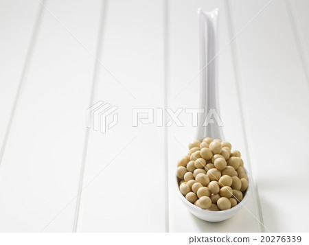 soy bean soy bean 20276339