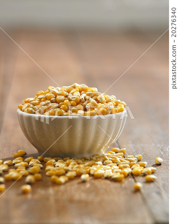 maize maize 20276340