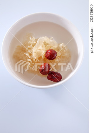 snow jelly fungus 20276609