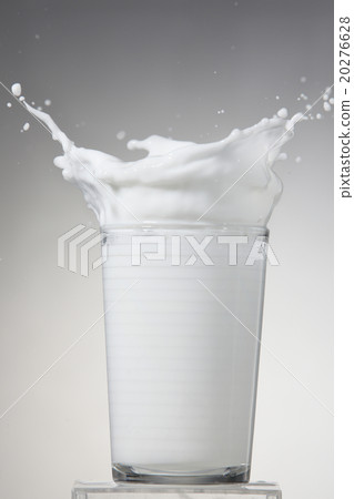 Milk 20276628