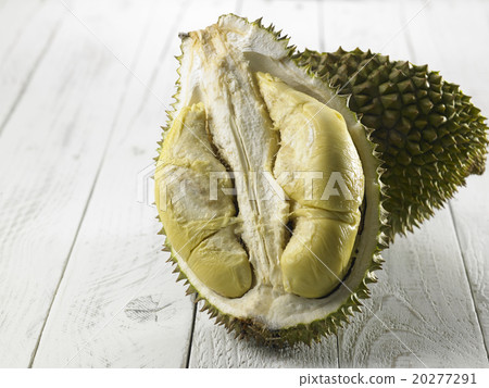 durian 20277291