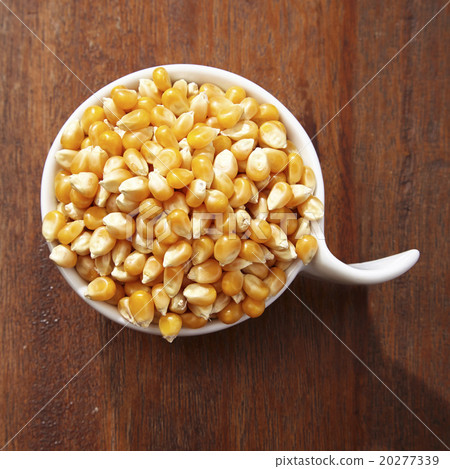 maize corn maize corn 20277339