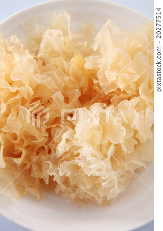snow jelly fungus 20277514