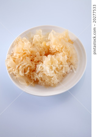 snow jelly fungus 20277533