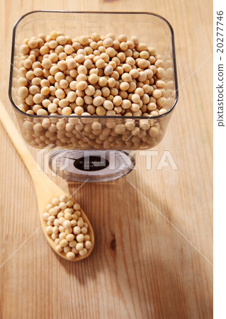 soy bean 20277746