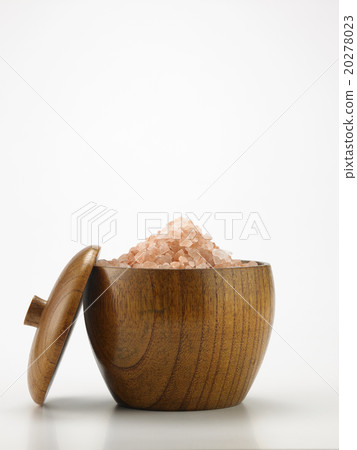 salt salt 20278023