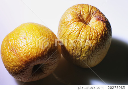 rotten apple 20278985