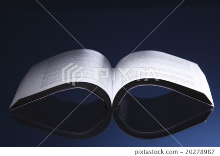 Blank magazine 20278987