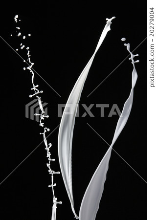 splash splash 20279004