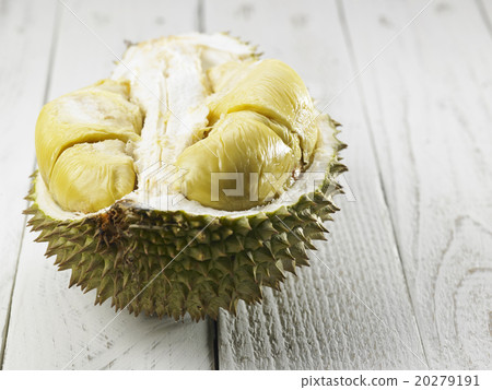 durian 20279191