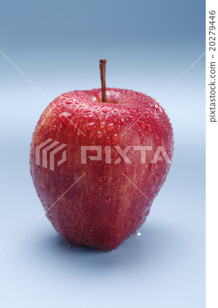 Red apple 20279446