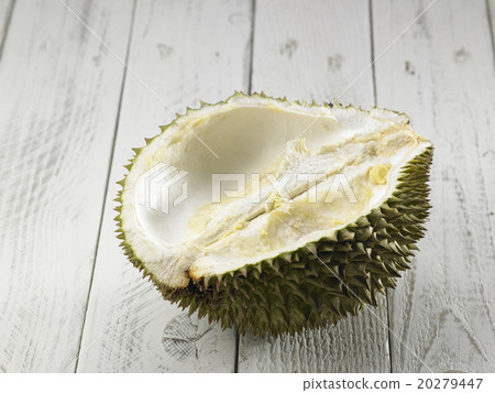 durian 20279447