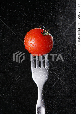 Tomato 20279448