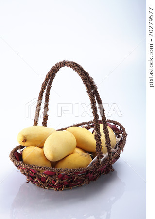 mango mango 20279577