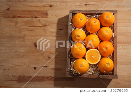 oranges 20279995