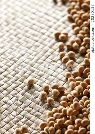 soy bean soy bean 20280138