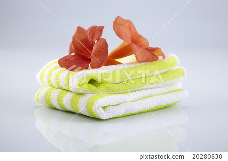 trumpet vine and towel trumpet vine and towel 20280830