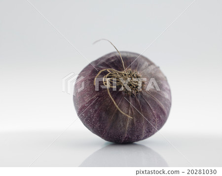 onion 20281030