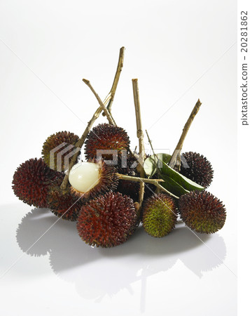 Buah Pulasan Fruit Buah Pulasan Fruit 20281862