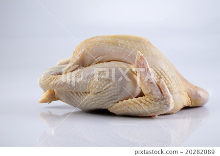 Crude Hen Crude Hen 20282089