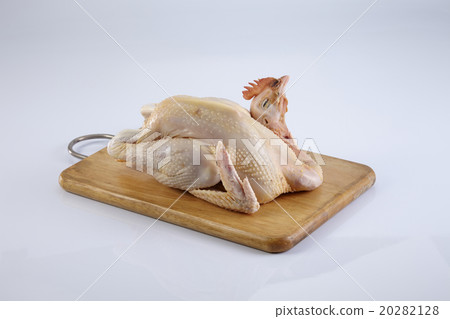 Crude Hen Crude Hen 20282128
