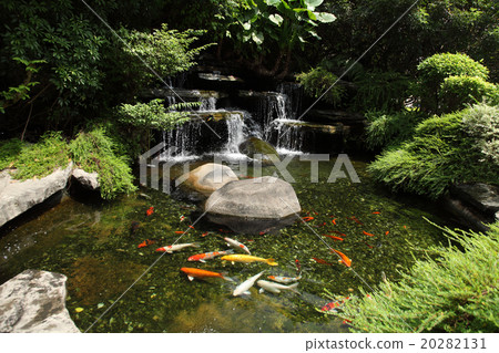 garden garden 20282131