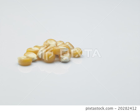 maize corn maize corn 20282412