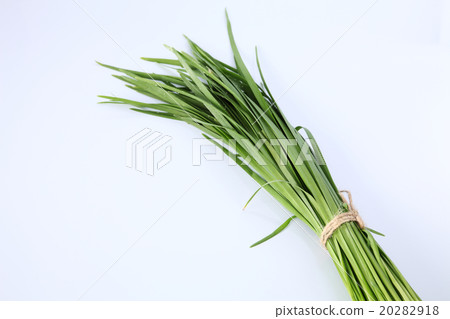 garli chives garli chives 20282918