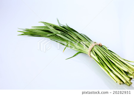 garli chives garli chives 20282931