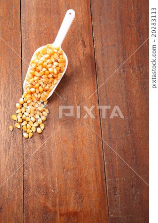 maize corn maize corn 20283113