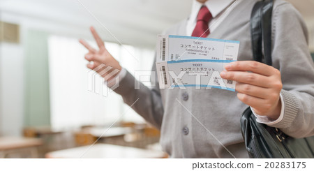 School image 20283175