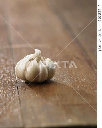 garlic 20283345