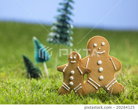 gingner bread man 20284125