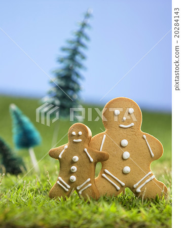 gingner bread man 20284143