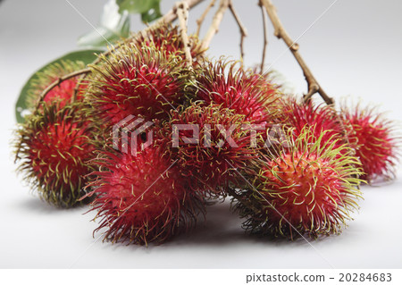 rambutan 20284683