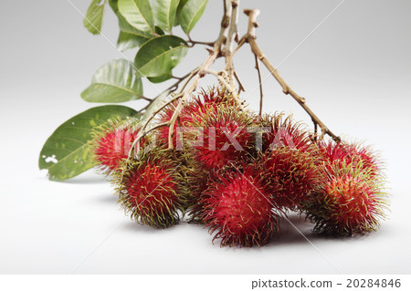rambutan 20284846