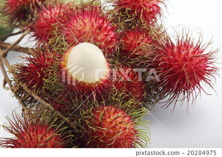 rambutan 20284975