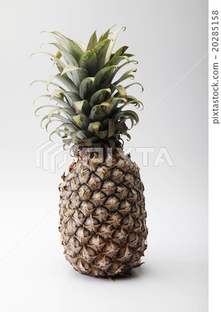 pineapple pineapple 20285158