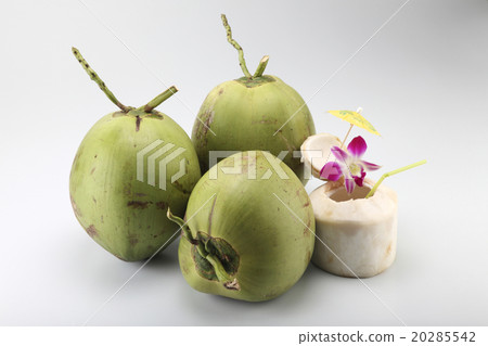 coconut coconut 20285542